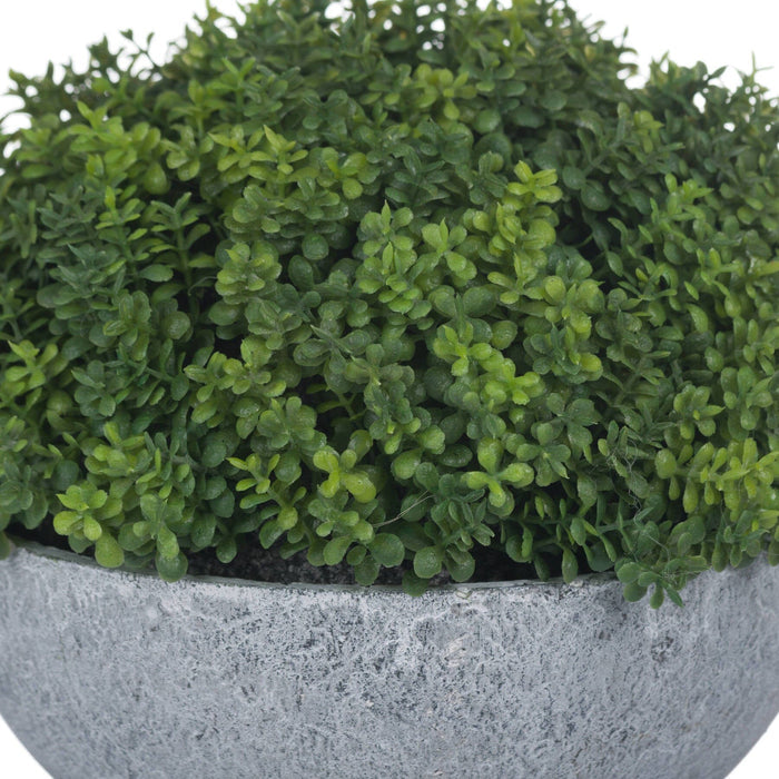 Faux Hebe Globe in Stone Pot Outdoor