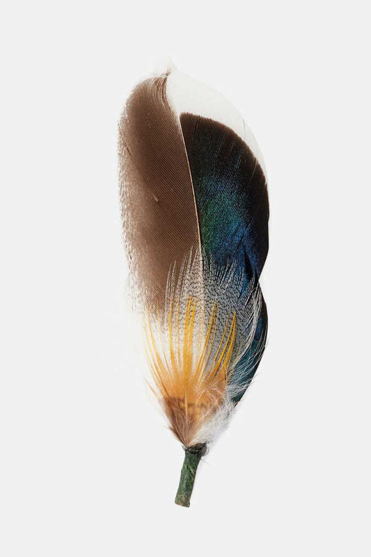 Brixton Unisex Brixton Hat Feather - Moonlit Ocean/Bison/Mojave | Main