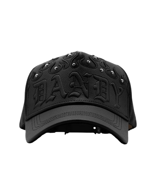 DANDY DID THIS CAP