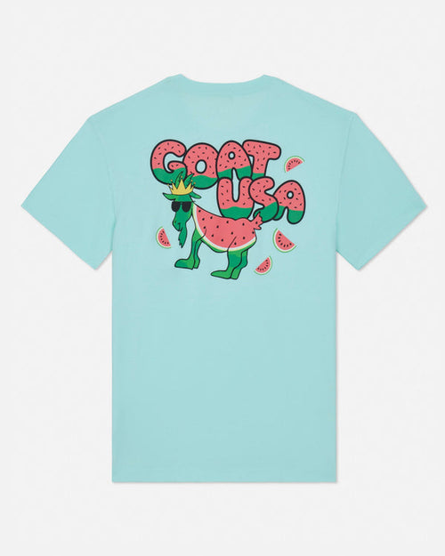 Goat USA Youth Watermelon T-Shirt Apparel Goat USA Mint Youth XSmall