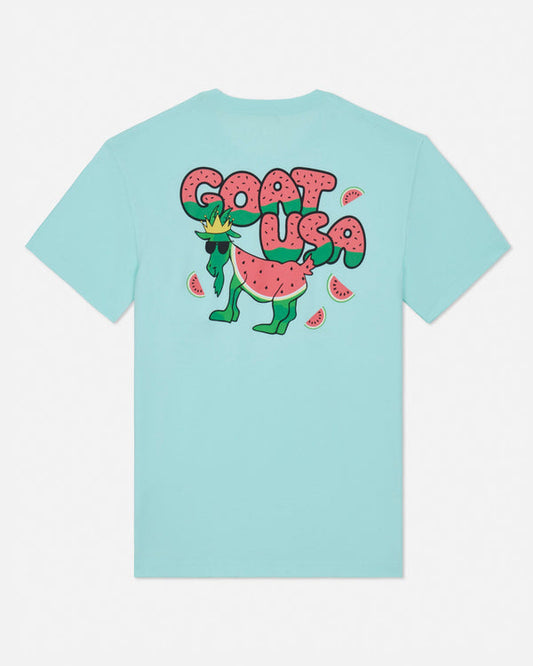 Goat USA Youth Watermelon T-Shirt Apparel Goat USA Mint Youth XSmall
